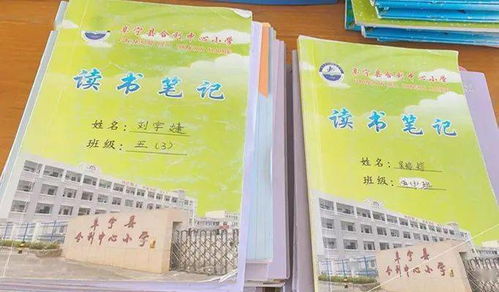 你好新学期