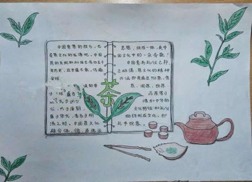 普洱茶知识大汇总从子手抄报到选购指南,一文解决你的所有疑问