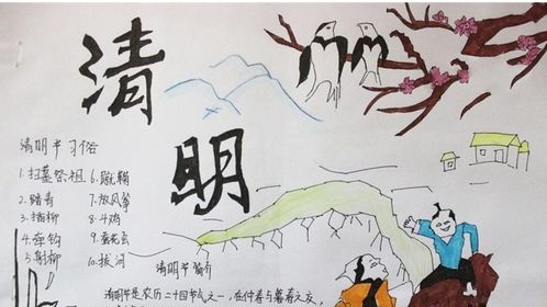 小学生清明节简单漂亮手抄报大全清明节手抄报图片素材分享