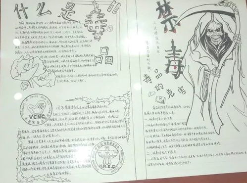 团区委组织开展禁毒教育基地参观活动