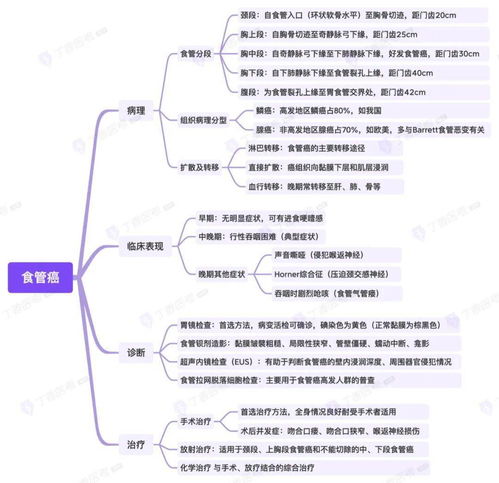 思维导图消化系统之食管癌