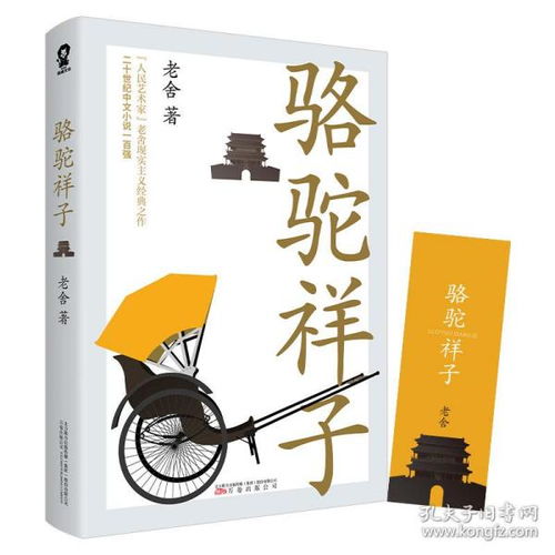 孔网分类