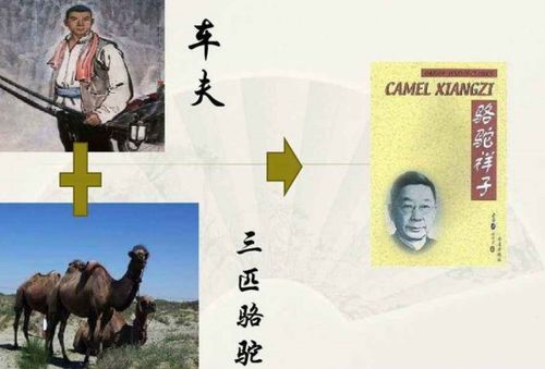 骆驼祥子写作背景概要