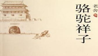 骆驼祥子教导设计ppt下载