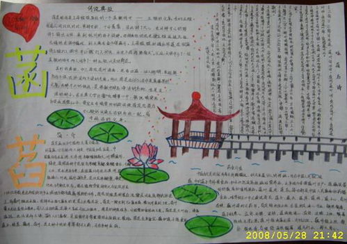 荷花手抄报怎么画简单又漂亮