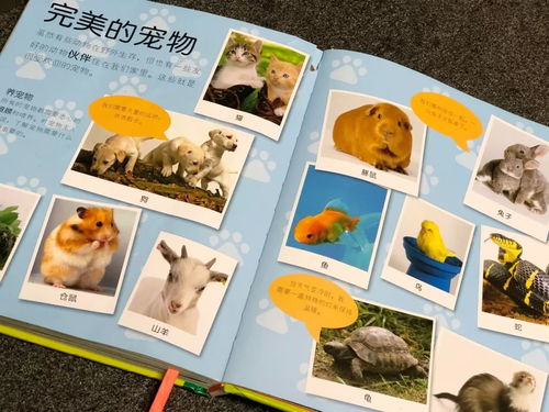不可思议,现在的孩子怎么可以懂这么多