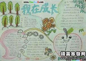 采矿专业自荐书范文