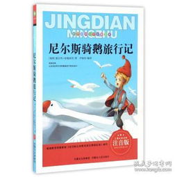 孔网分类