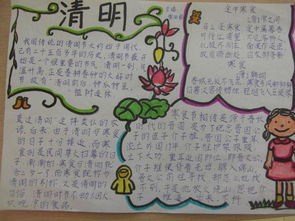 清明暗月的内容简介