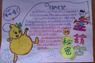 宝葫芦的秘密简单又漂亮的手抄报能得奖第一名