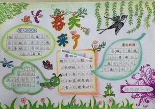 春天与夏天的动物手抄报科学