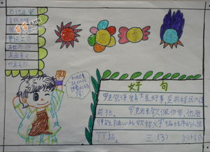 皮皮鲁传名著手抄报简单又漂亮图片大全内容