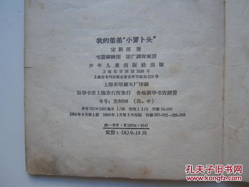 我的弟弟小萝卜头