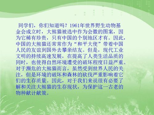 国宝大熊猫