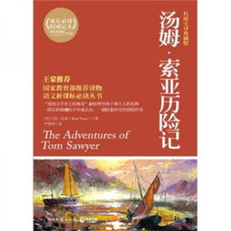 汤姆索亚历险记