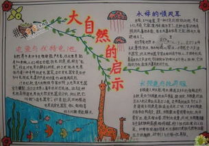 大自然的启示手抄报版面设计图