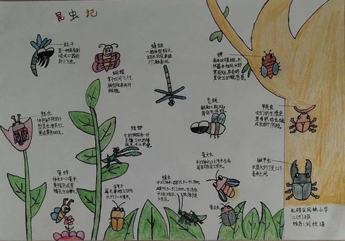 惊蛰到,春雷惊百虫二十四节气自然笔记