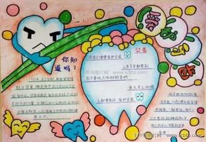 快收好这份史上最全手抄报作业模板,孩子寒假一定用得上