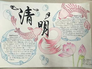成都天府新区成人中等专业学校清明节手抄报比赛