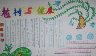 四年级植树节手抄报内容