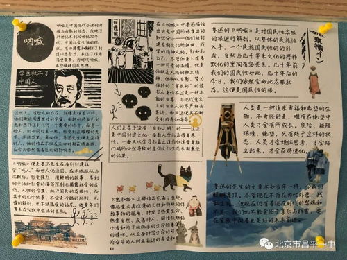 一样的假期不一样的精彩高二年级语文组举办名著阅读手抄报活动