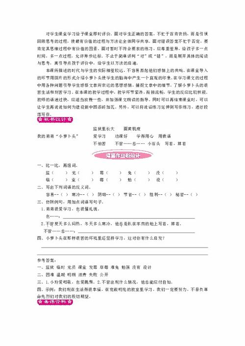 20我的弟弟小萝卜头二课时