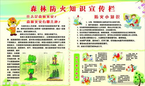森林防火宣传栏设计图