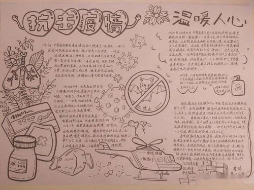 共抗疫情爱国力行锡林浩特六中高二级部手抄报展示