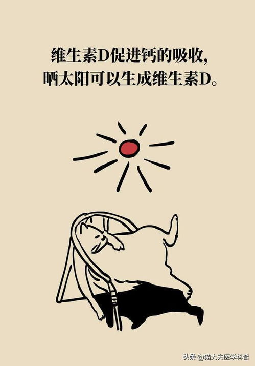 这些医学小秘密对身体有好处,你知道吗十一