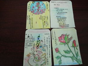 芳菲三月书香致远棠湖中学初一年级语文组名著阅读活动汇报展出