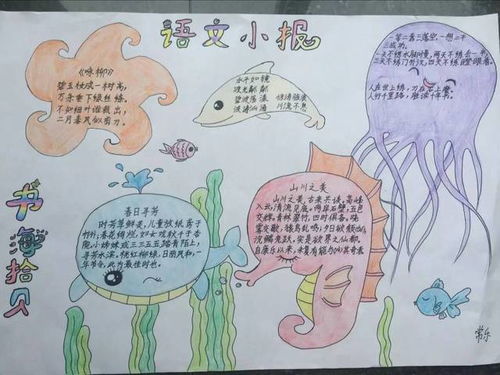 语文手抄报展风采