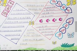 手抄报版面设计图爱护树木