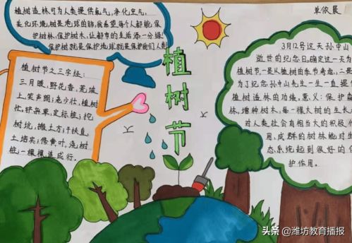 潍坊锦海小学拥抱春风十里,护绿从我做起