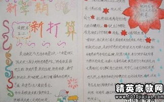 个人政治思想总结