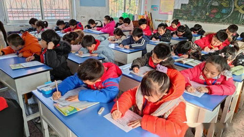 安阳市东门小学进行二年级英语字母抽测活动
