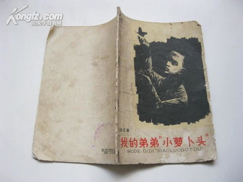 我的弟弟小萝卜头