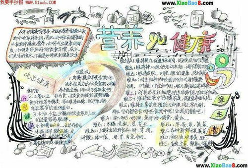营养与健康手抄报,学霸来看一看巴要有照片呢