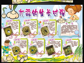 植物生长过程小报观察日记暑假手抄电子小报图片素材psd模板下载116.83mb爱护动植物手抄报大全环保手抄报