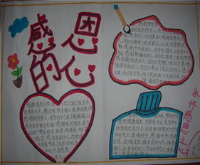 小学生手抄报天鹅